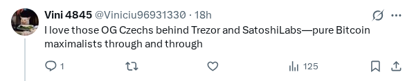 Captured screenshot of the reply by @Viniciu96931330